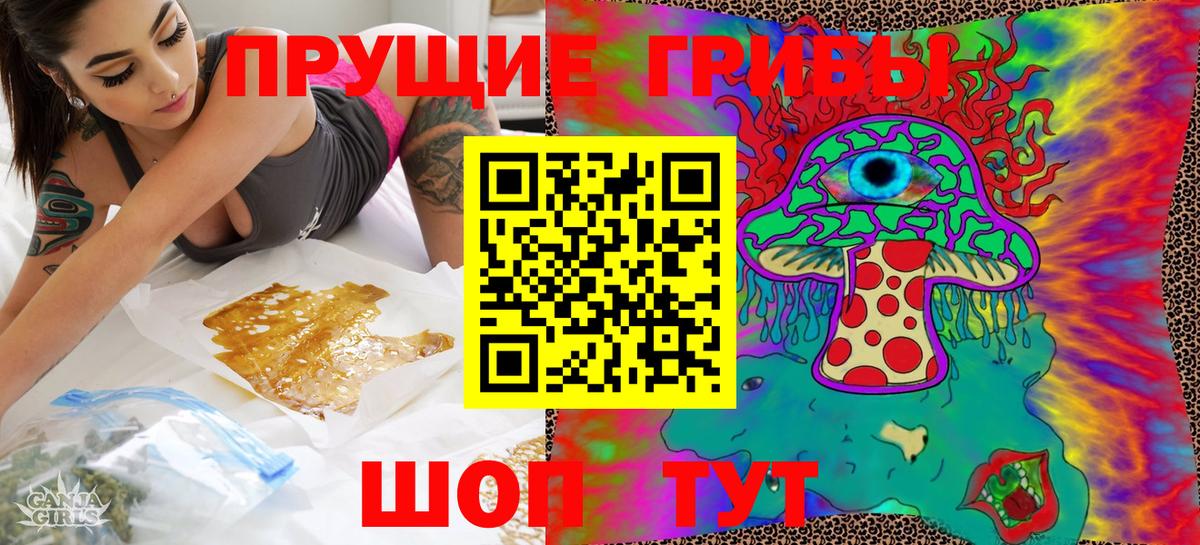 Псилоцибиновые грибы Cubensis  Псилоцибиновые грибы Cubensis  Елабуга  Вход с VPN 