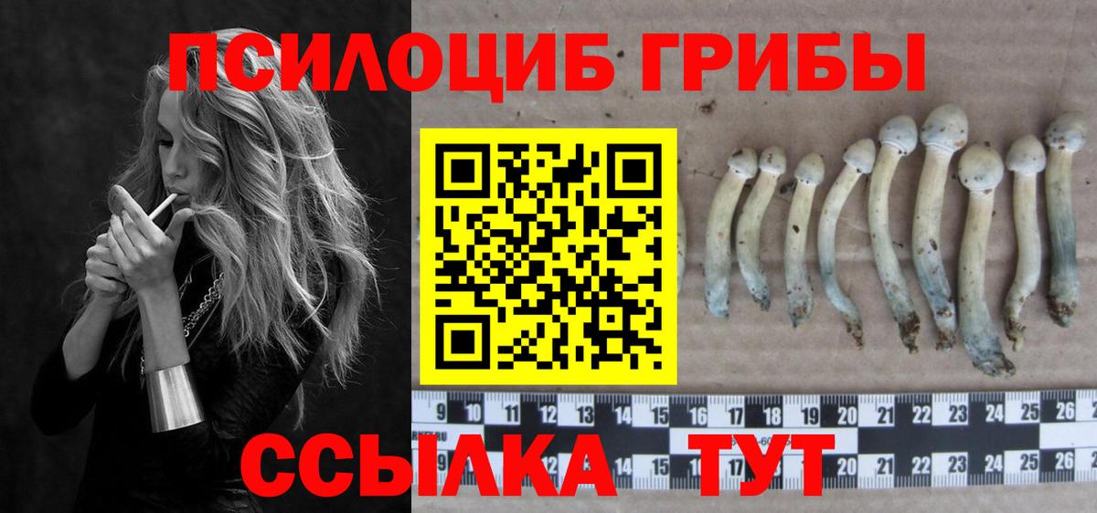 Галлюциногенные грибы Cubensis Елабуга